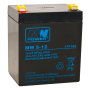 AGM battery  12V 5000mAh Pb MW