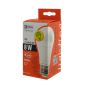 Bulb LED CLASSIC A60 8W E27 WW Z74710 - 2