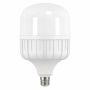 Bulb LED CLS T140 46W E27 NW ZL5751