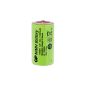 GP 1100DH 11000mAh D NiMH high (+)