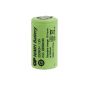 GP 220SCH/ST 2200mAh SC NiMH - 6