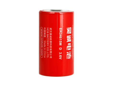 Lithium battery ER34615M 14000mAh HCB Battery D - 2