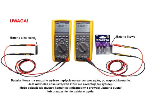 Lithium battery FR03 PROF VARTA AAA  B4 - 2