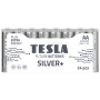 Alkaline battery  LR6 TESLA SILVER+F24