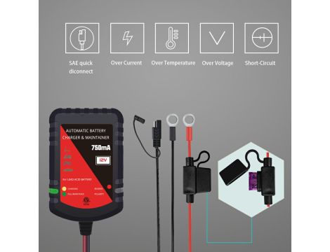 Battery Charger Everpower 12V 0,75A - 8