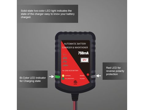 Battery Charger Everpower 12V 0,75A - 7